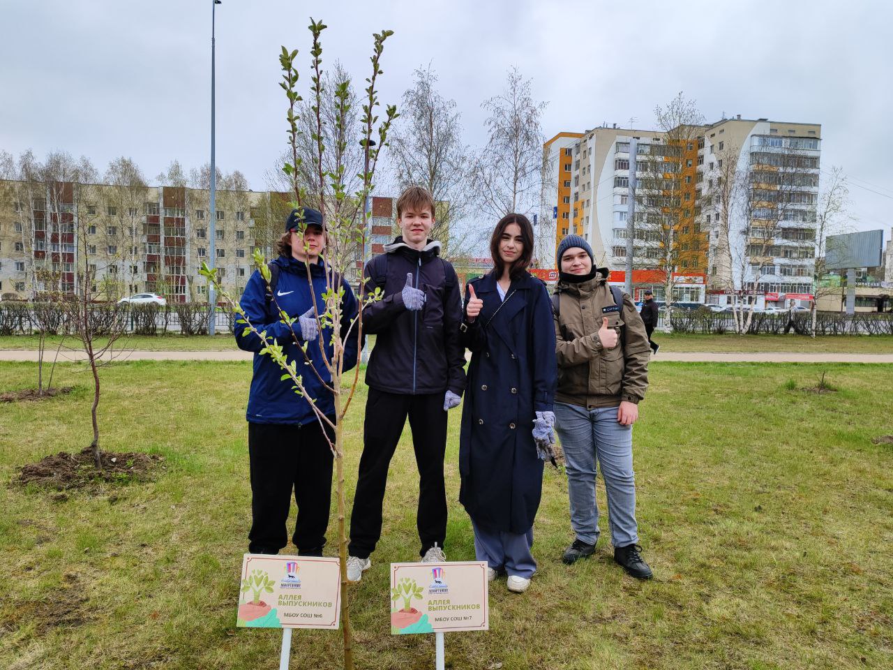 Аллея выпускников